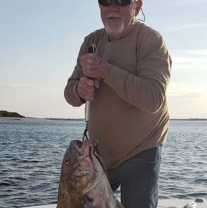 Meet your Posher, Cathy